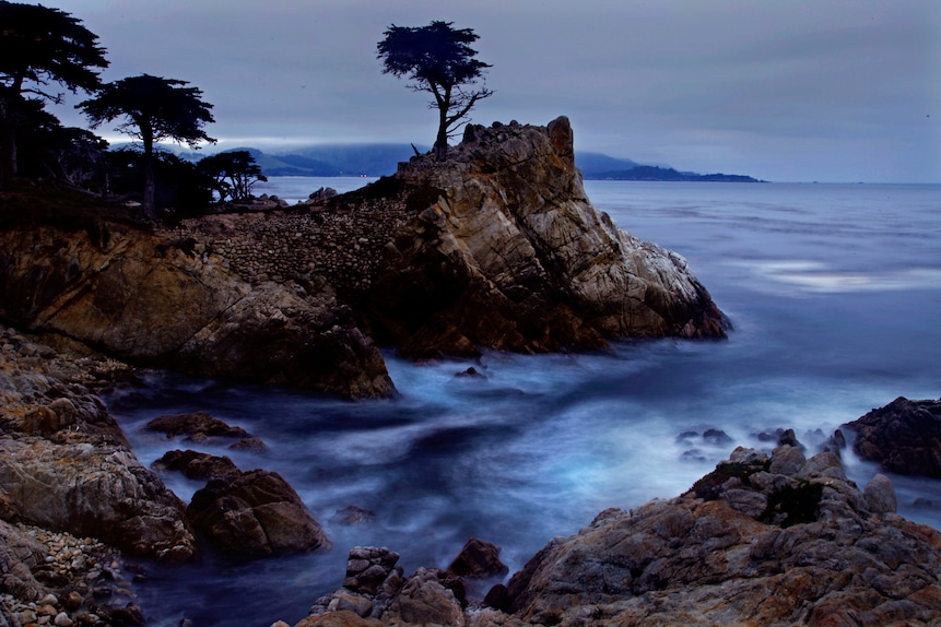 Lone Cypress, between Cypress Point Golf Course and the Pebble Beach Golf Links