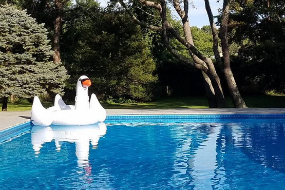 160913-pool-swan.png