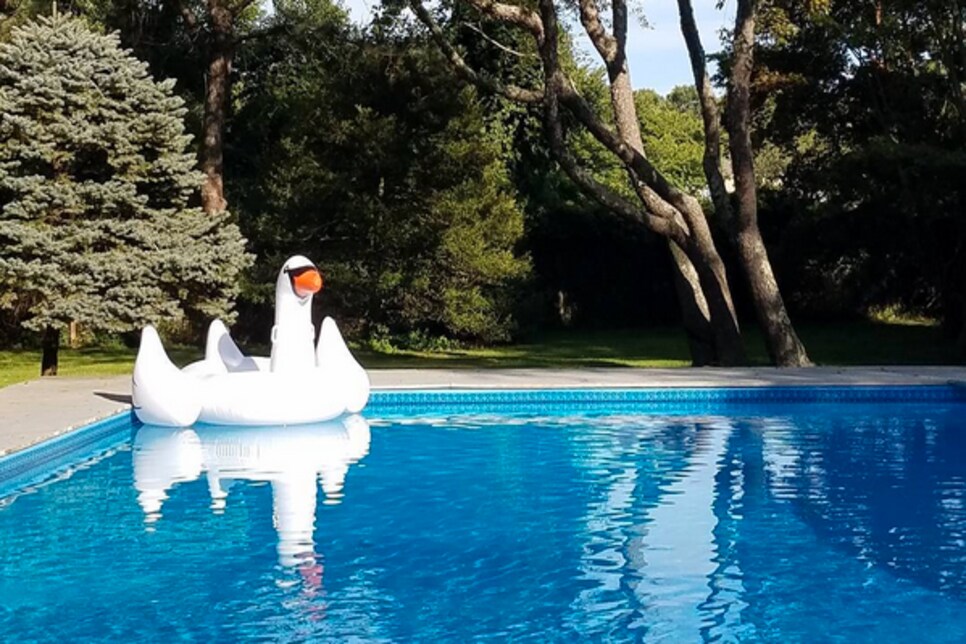 160913-pool-swan.png