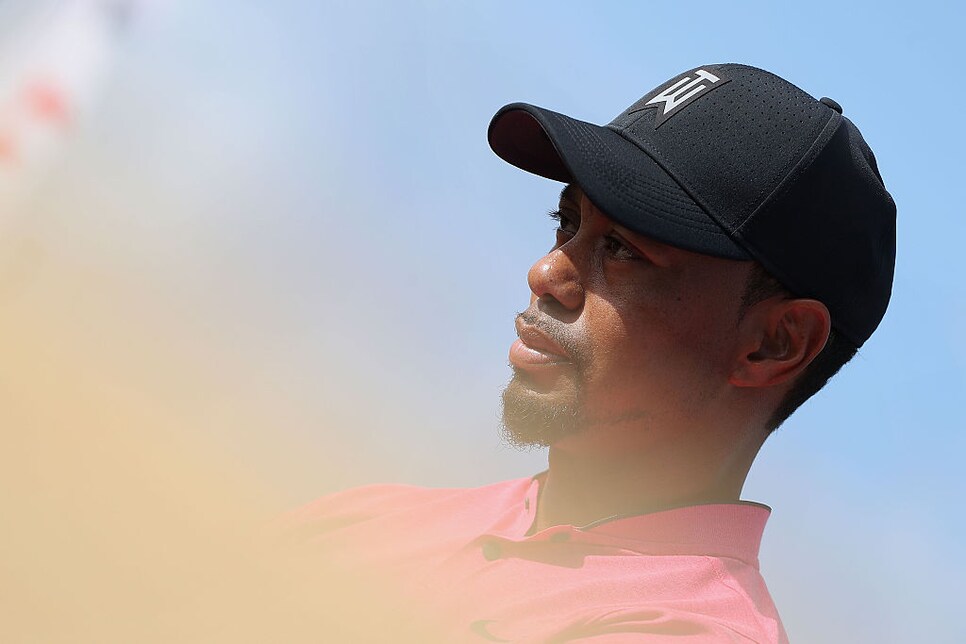 tiger.head.hero.16.jpg