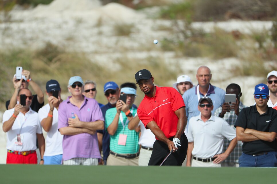 161206-tiger-woods-crowd.jpg