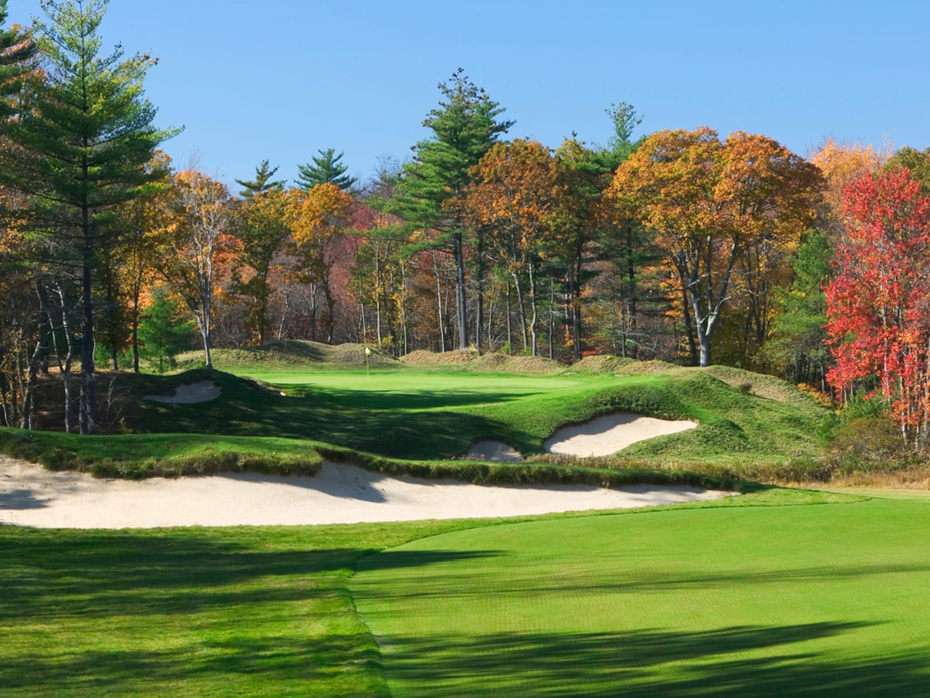 the tour of boston golf