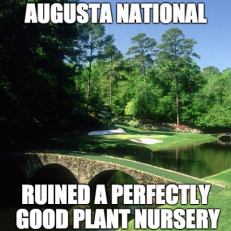 augusta.png