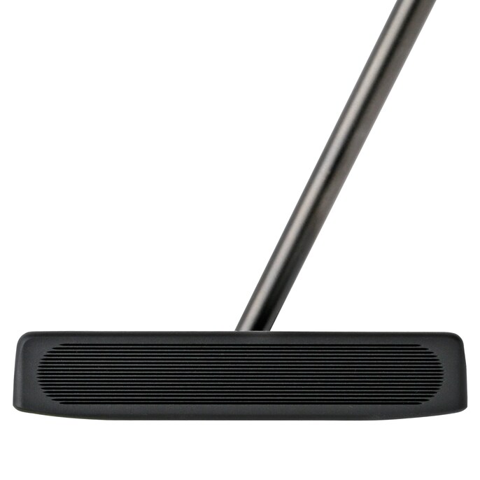 0317-Mallet-Putters-Face-DirectedForce.Reno.png