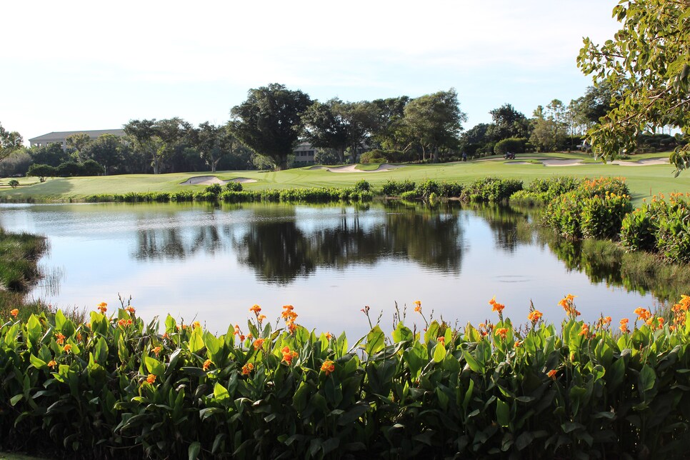 Environmental-Leaders-Broken-Sound-aquatic-vegetation-Kyle-Asbury.jpg