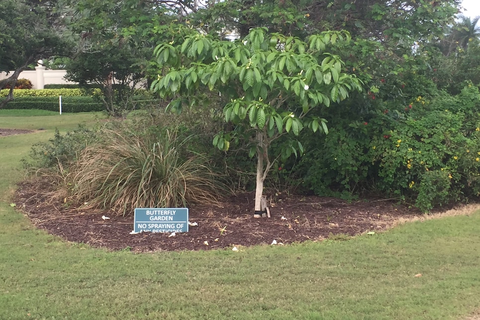 Environmental-Leaders-Broken-Sound-butterfly-garden-Kyle-Asbury.jpg