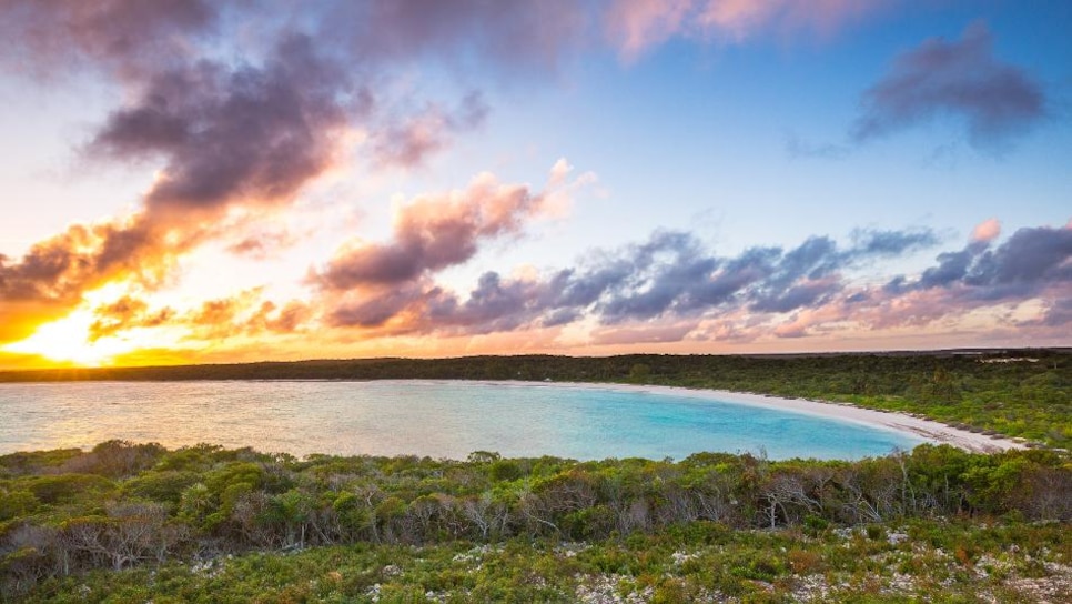 Tiger-Bahamas.jpg