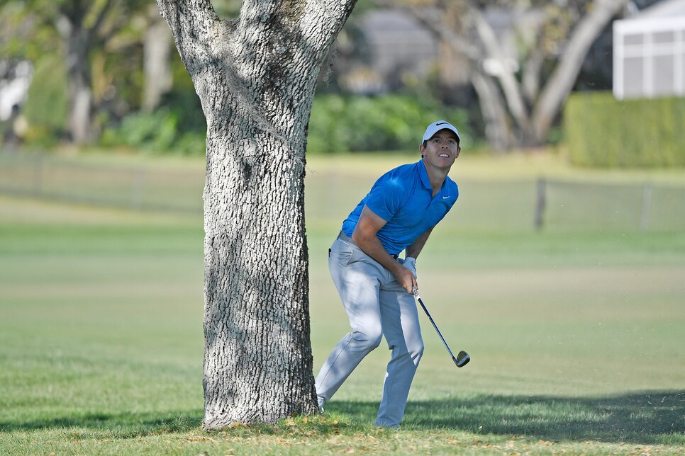 rory-mcilroy-arnold-palmer-invitational-2017-sunday-16th-tree.jpg