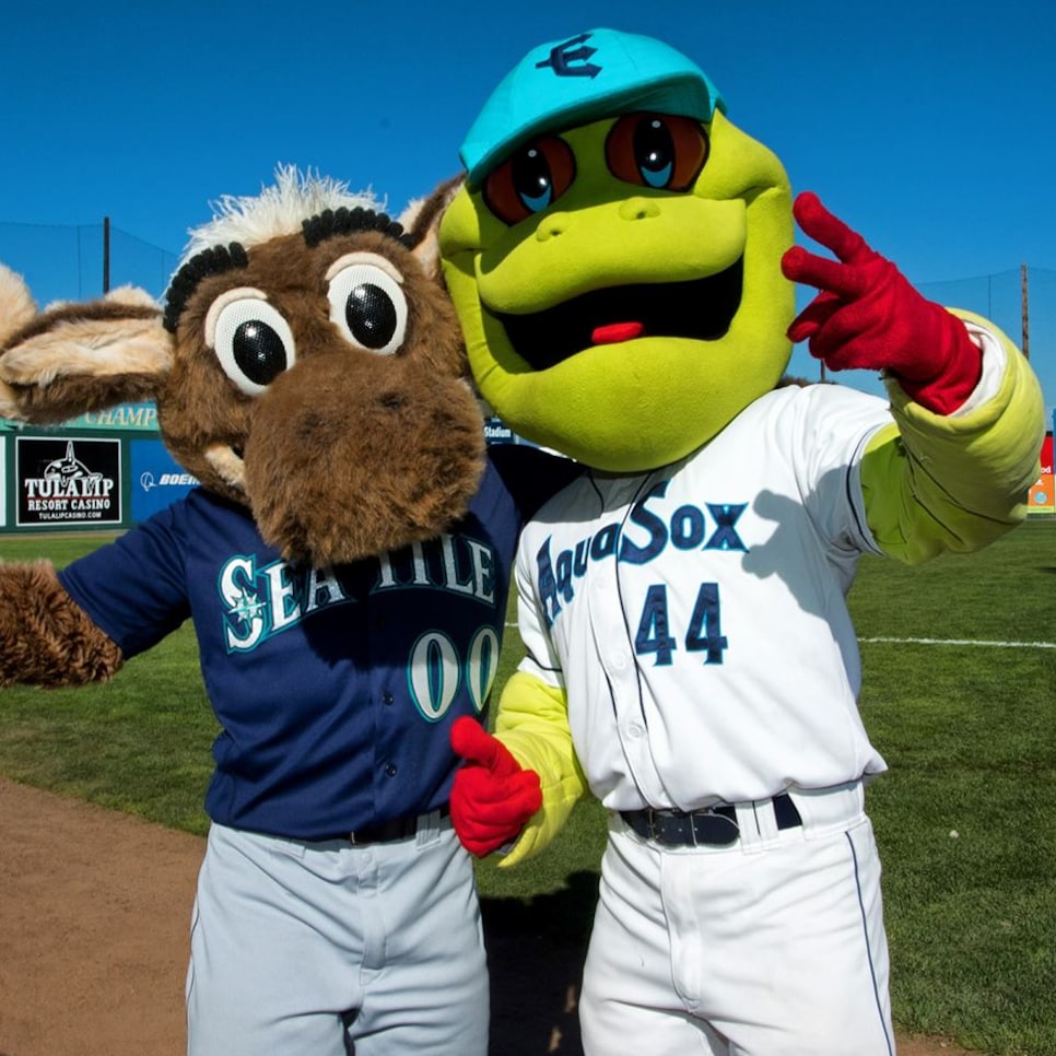 This minor league mascot is s'more than a suit -- he's (camp)fire