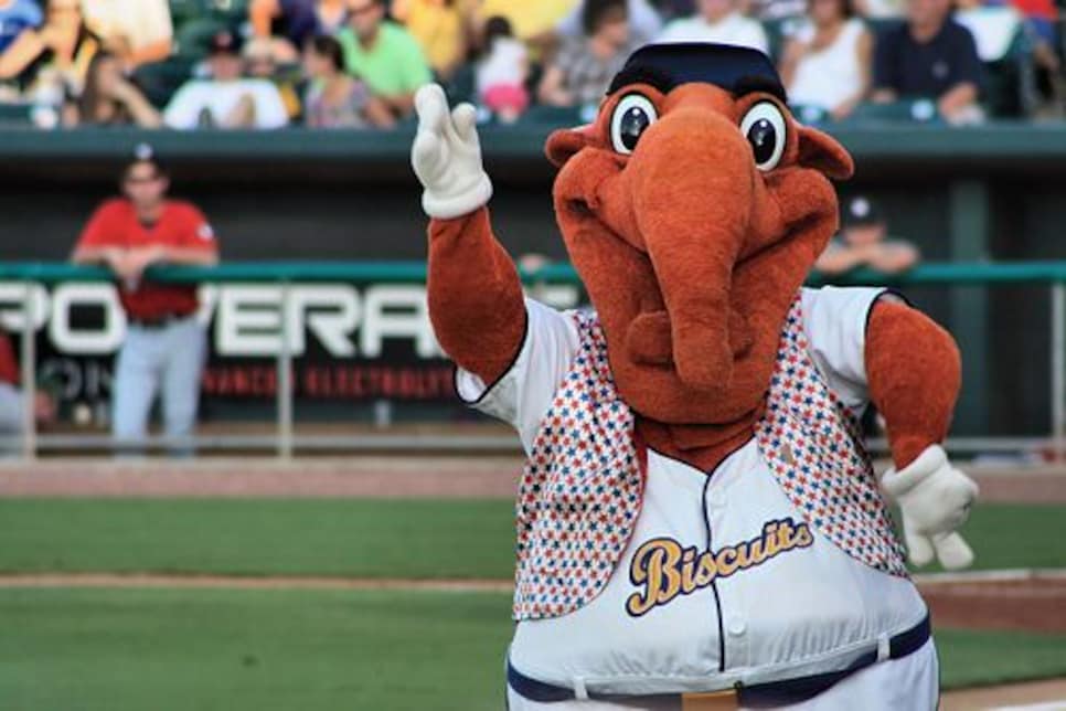 Minor League Baseball Mascots Logos