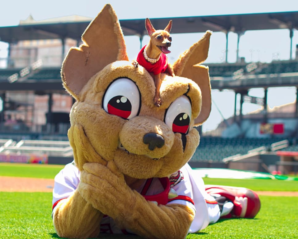 15 most bizarre minor-league baseball mascots in America, This is the Loop