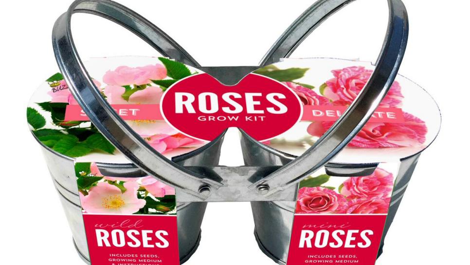 2-pot-w-handle-rose-garden.jpg