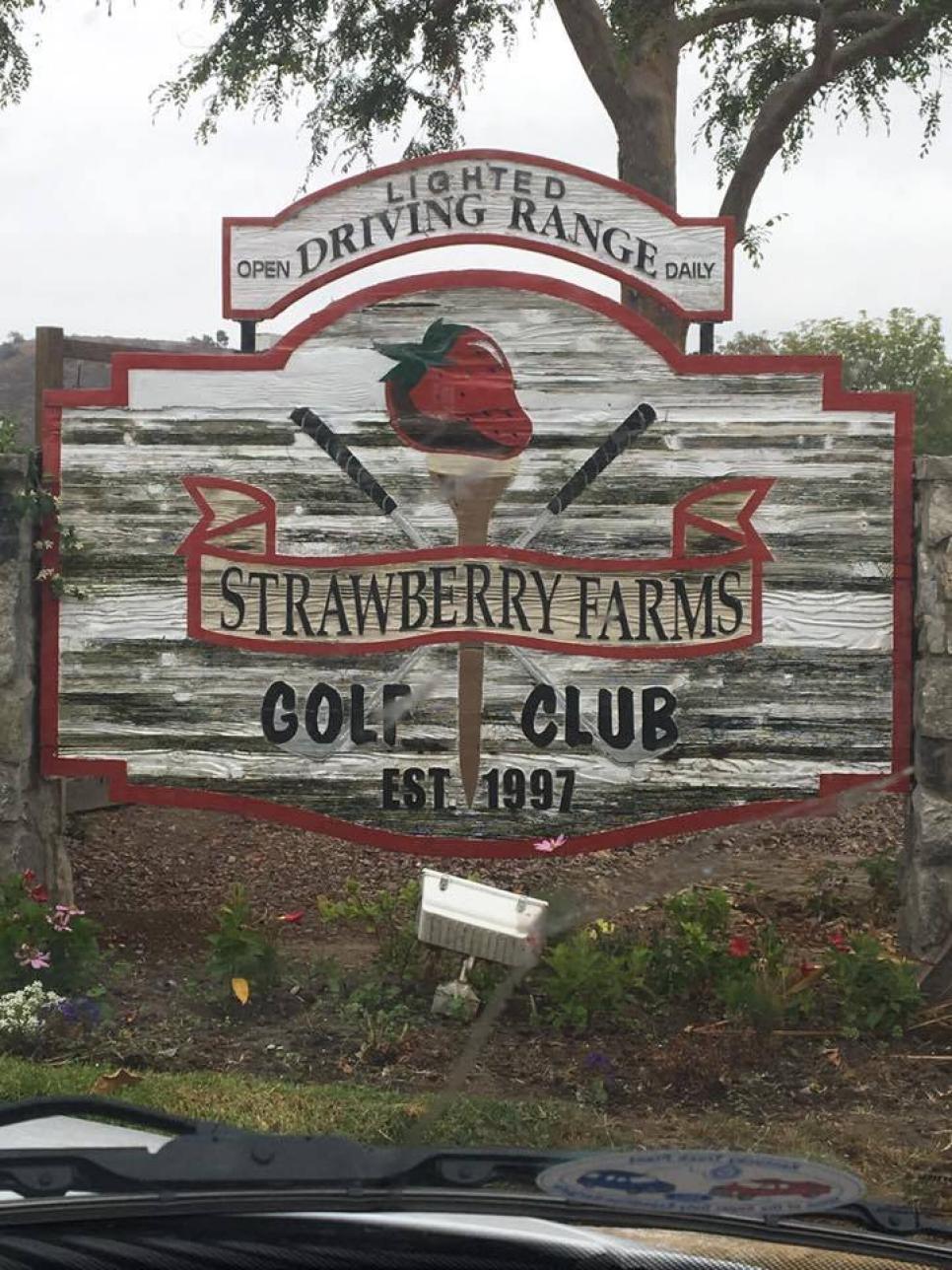 Strawyberry-Farms-Golf.jpg