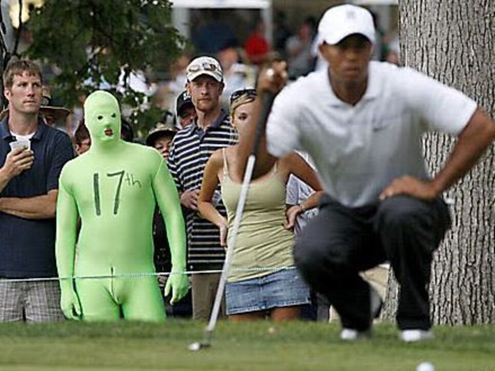 photobomb -- tiger green man.jpg