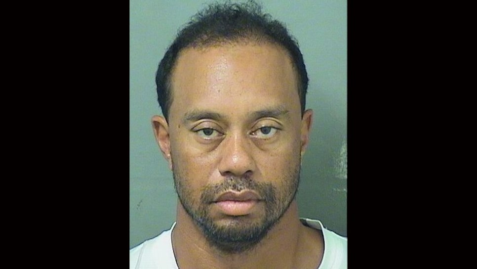 sad tiger woods