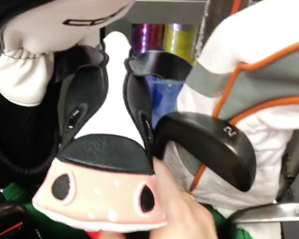 u.s. open cow headcover