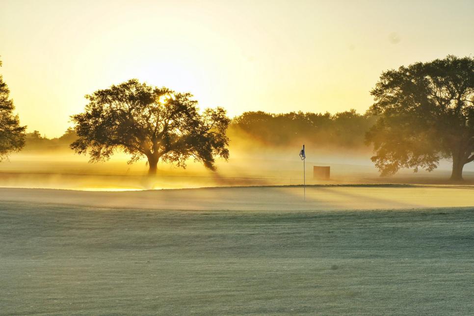 nola-bayou-oaks-at-dawn.jpg