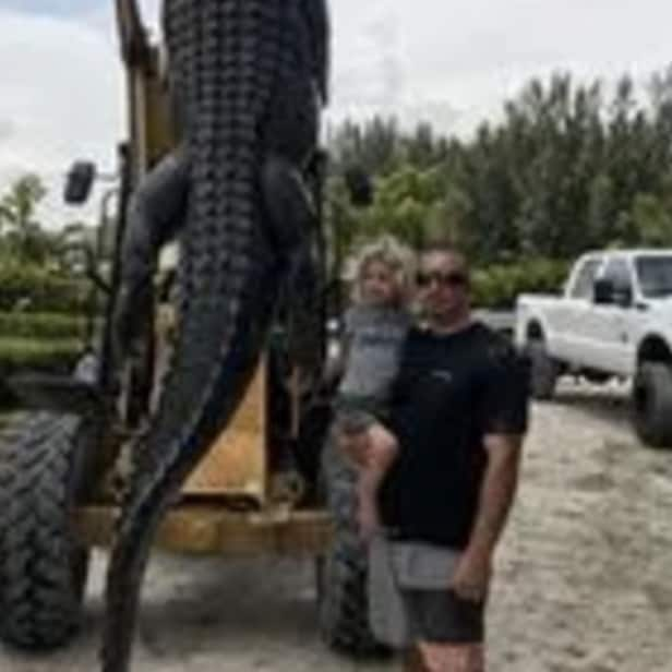 The photos of this giant gator that was caught in Florida are amazing ...