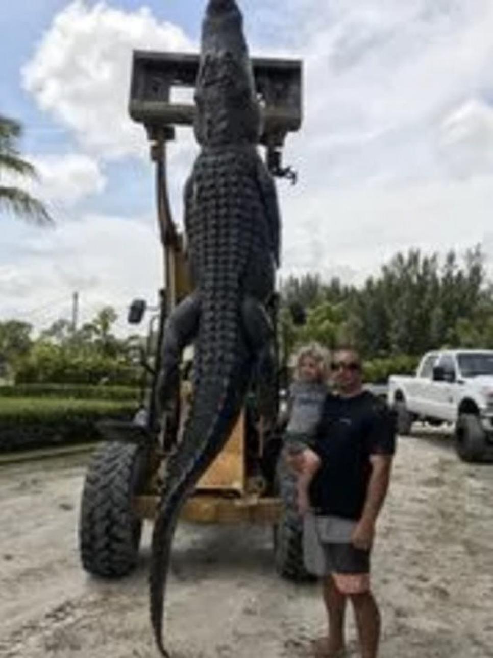 The photos of this giant gator that was caught in Florida are amazing