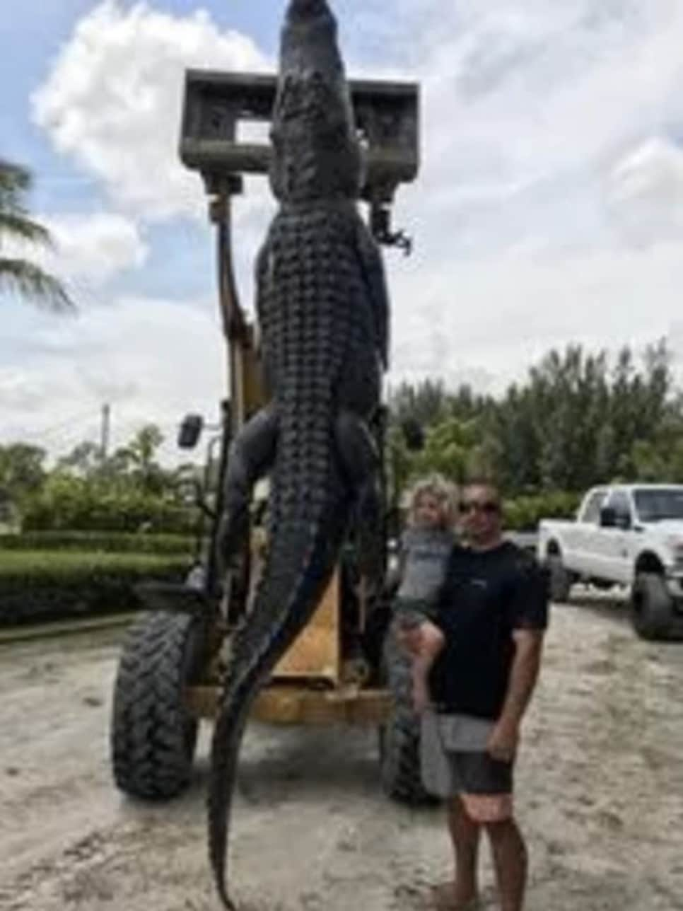 The photos of this giant gator that was caught in Florida are amazing ...