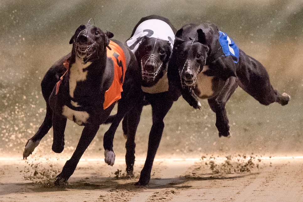 TOPSHOT-BRITAIN-ENTERTAINMENT-RACING-GREYHOUNDS-TRADITION-ECONOM