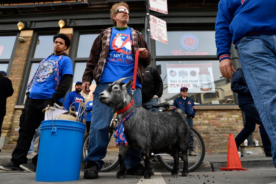 Breaking Billy Goat: World Series Gear For Cubs Fans - Parade