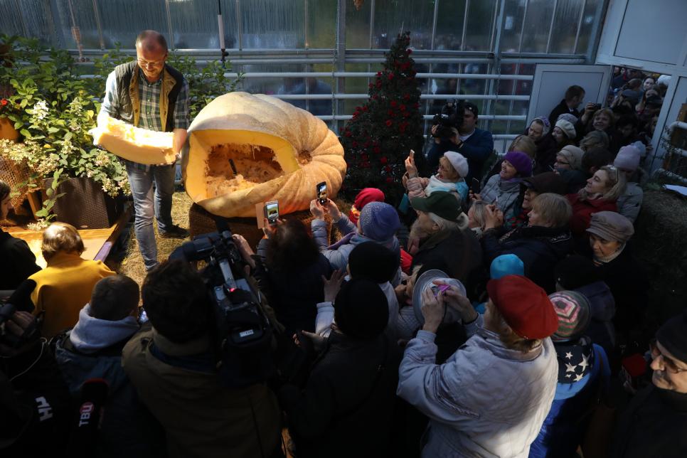 Largest Russian pumpkin brought to Moscow