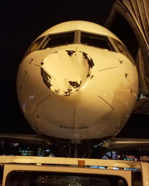 The Oklahoma City Thunder team plane apparently got hit by the world's largest bird