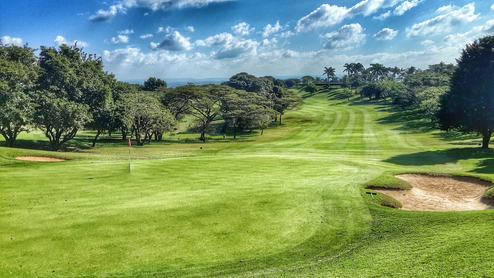 Trees On Golf Course