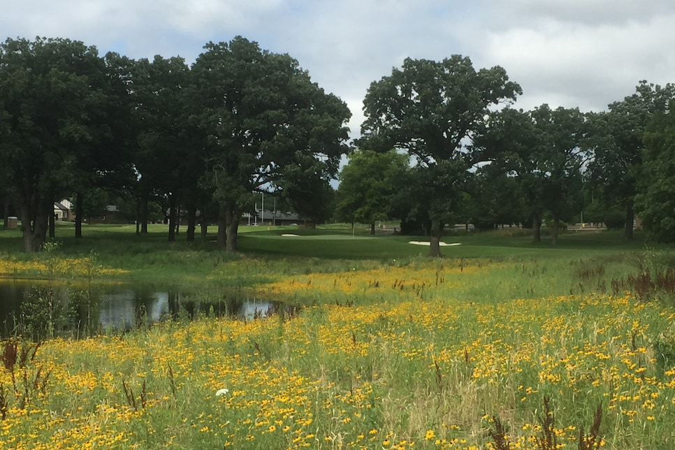 The-Preserve-at-Oak-Meadows-18th-hole-Ron-Whitten.jpg