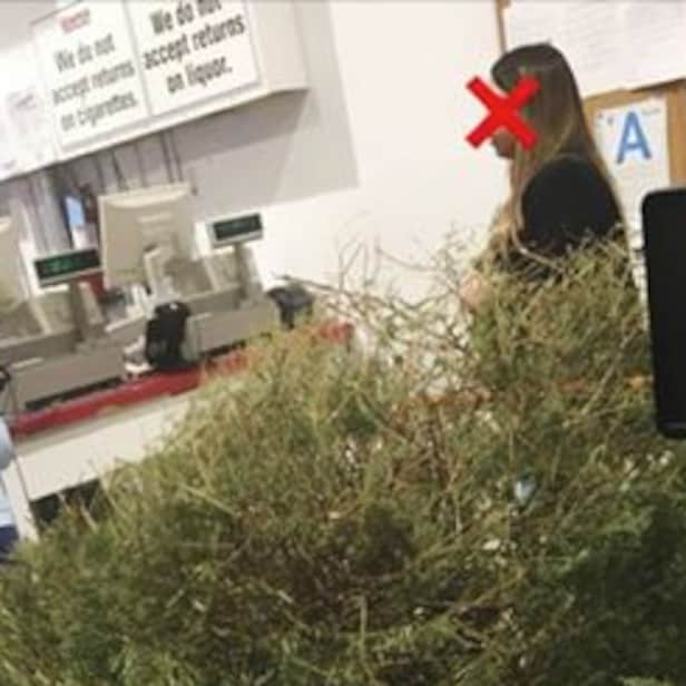 Is this woman who successfully returned a "dead" Christmas tree to
