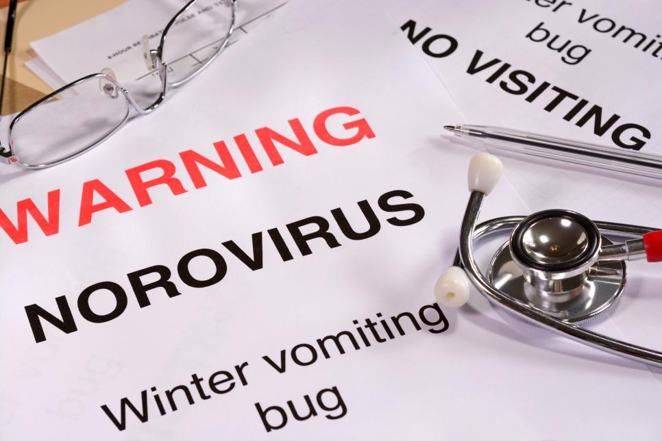 Norovirus the winter vomiting bug.