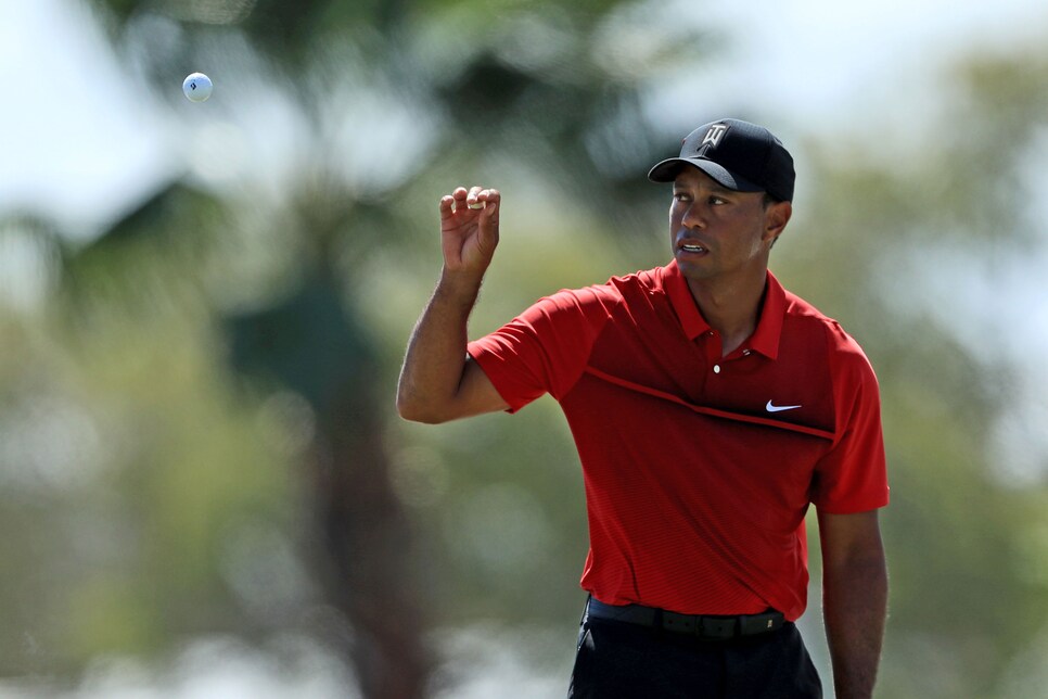 during the final round of the 2018 Honda Classic on The Champions Course at PGA National Resort on February 25, 2018 in Palm Beach Gardens, Florida.