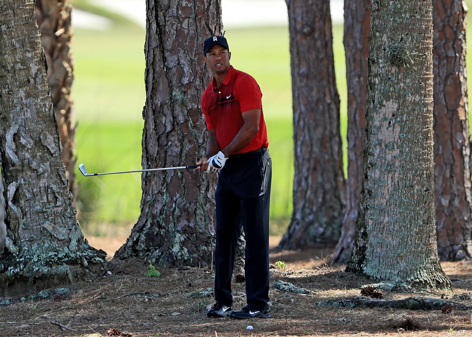 tiger-woods-honda-classic-sunday-2018-pine-straw.jpg