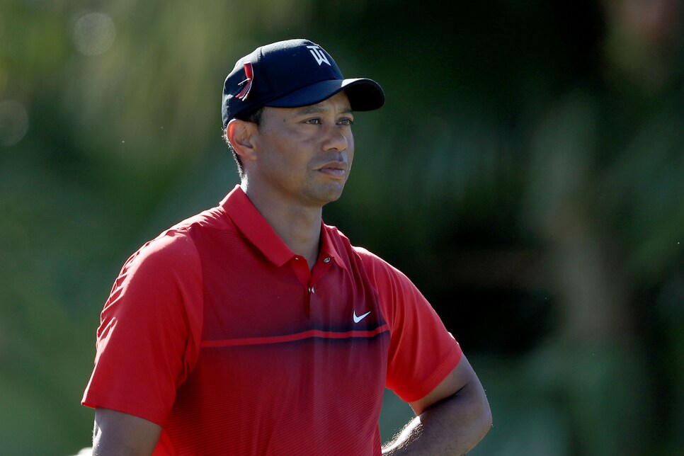 The Honda Classic - Final Round