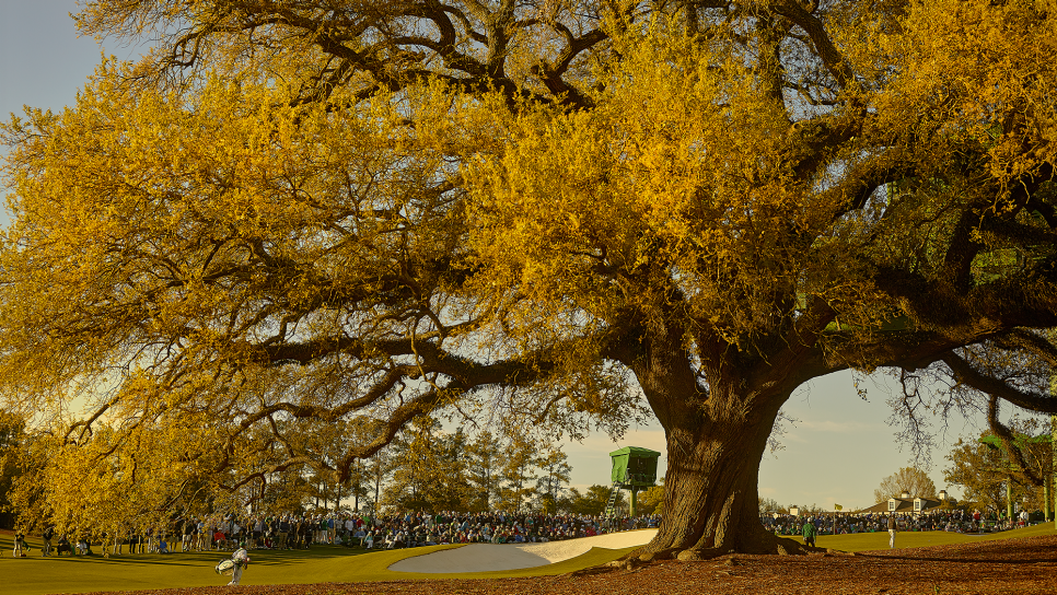 The Final Sentry At Augusta National's 18th Is One Big Oak | Golf News and  Tour Information | Golf Digest