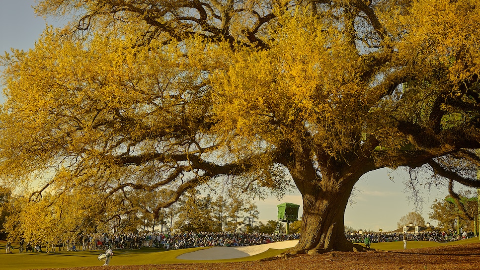 The Final Sentry At Augusta National's 18th Is One Big Oak | Golf News and  Tour Information | Golf Digest