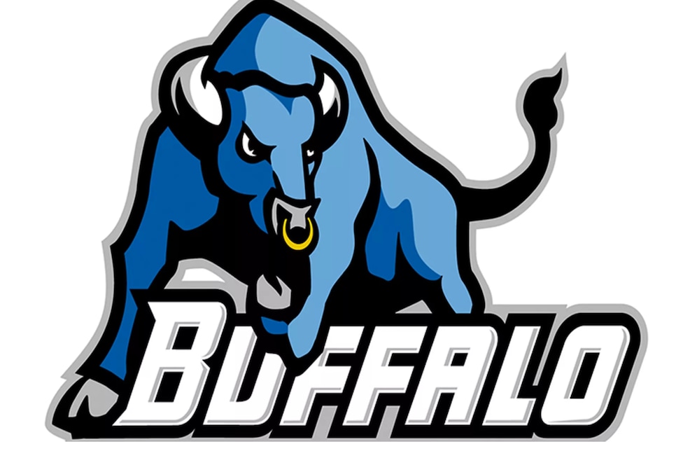 buffalo.png