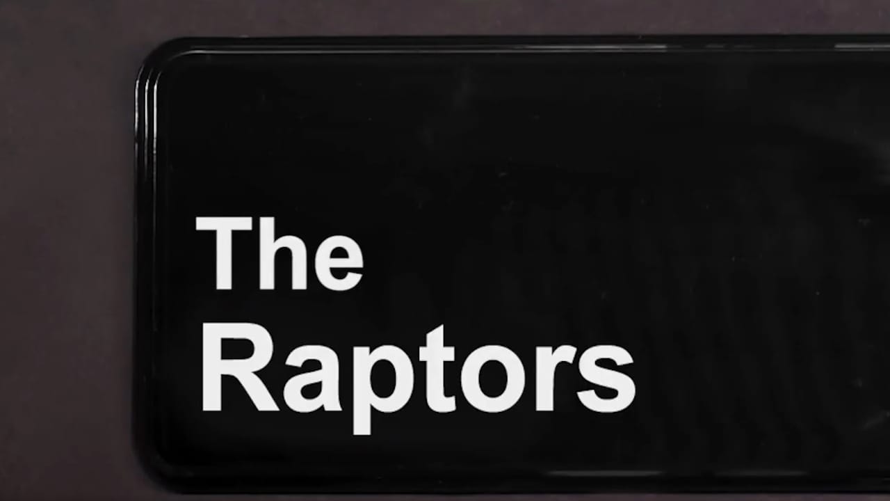 raptors reddit