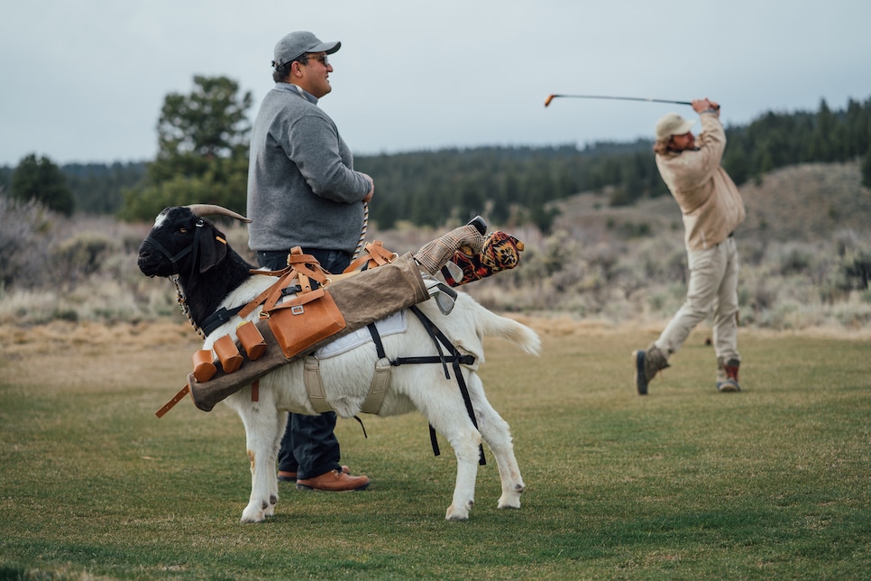 The story behind the world's first goat golf bag for the world's first