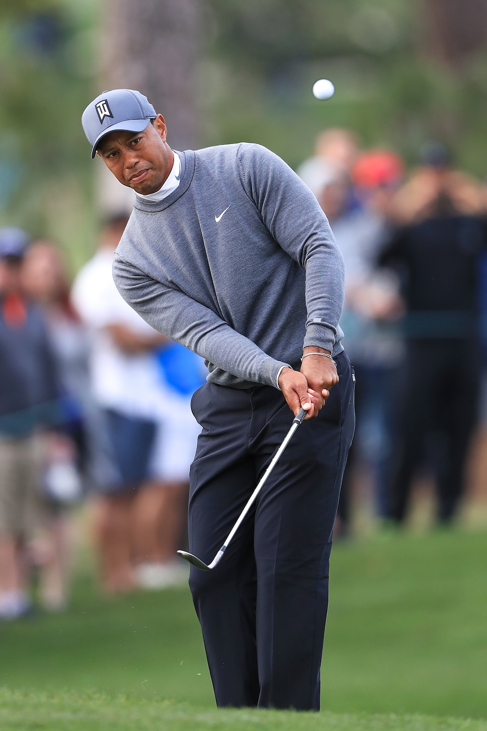 tiger woods chipping Valspar Championship - Round One