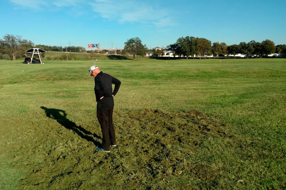 Curt-Sampson-surveys-hog-damage.jpg