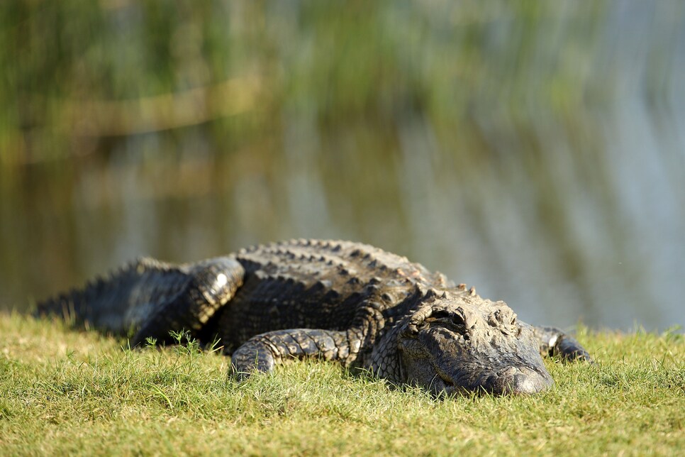 Zurich Classic Of New Orleans - Final Round