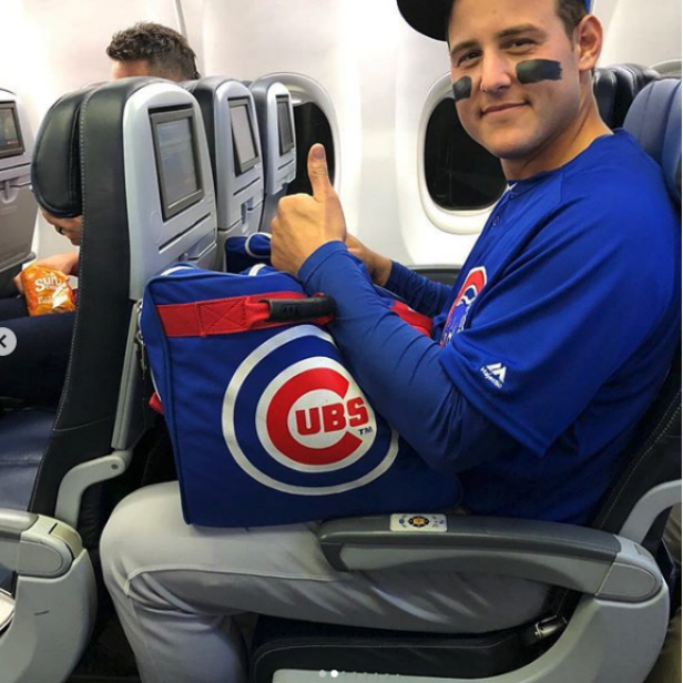 Anthony Rizzo stayed in his Cubs gear during a flight to Washington and  then back to Chicago - Article - Bardown