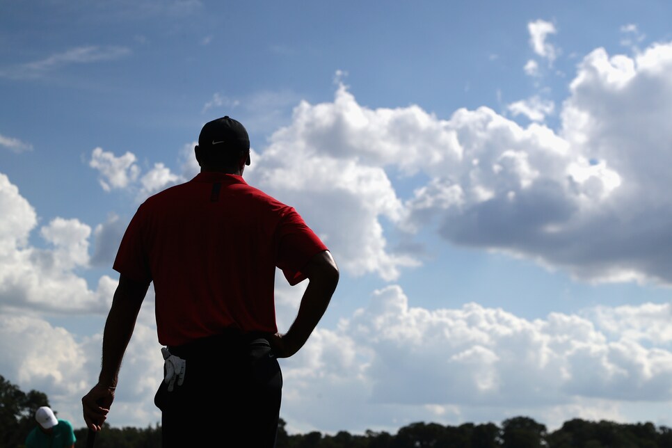 TOUR Championship - Final Round