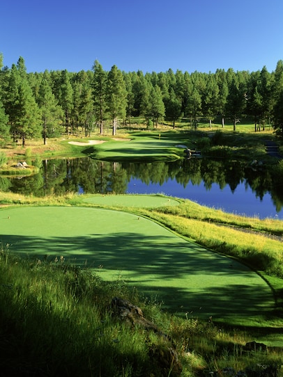 Forest Highlands Golf Club: Canyon