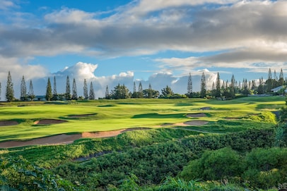 23. (23) Kapalua: Plantation