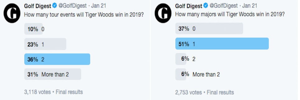 tiger-poll.jpg