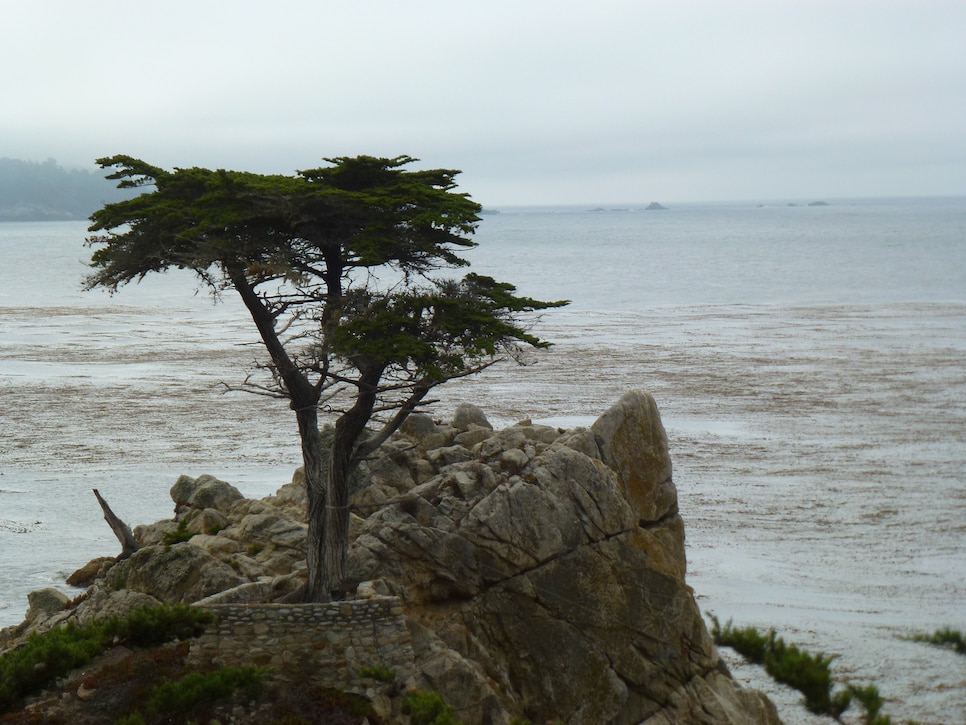 California - 17-Mile Drive