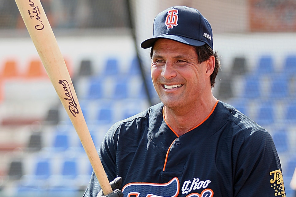 Training session of Tigres - Mexican Baseball League